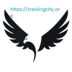 Secure Eraser Professional Crack 6.103 + Keygen Free Download [2024]